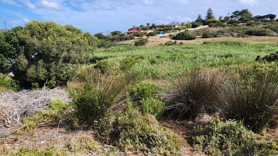 0 Bedroom Property for Sale in Stilbaai Wes Western Cape